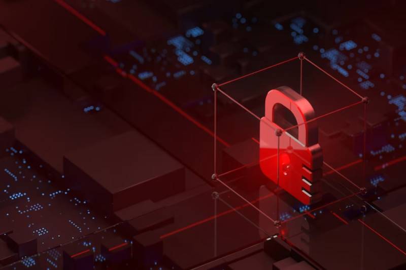 信创浪潮下的协同进阶:遵义软件开发公司助力ERP与多系统信创适配